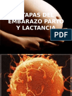 Fecundacion Parto y Lactancia