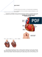 Anatomia Si Fiziologia Inimii