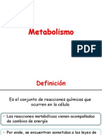 Metabolismo