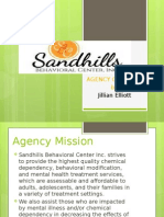 Jills Agency Overview