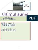 Activitatea ultimul sunet.docx