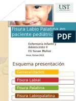 Clase Fisura Labio Palatina en Paciente Pediátrico