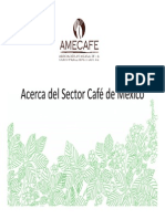Acerca Del Sector Café de México