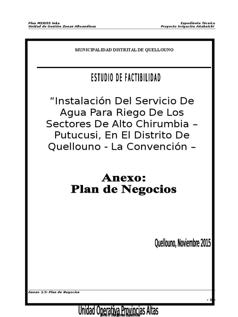Plan de Negocios para Riego en Quellouno | PDF | café | Agricultura
