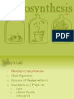 Tam 6 Photosynthesis