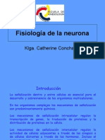 Fisiología de La Neurona