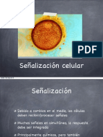 Clase11señalizacionintracelular Copy