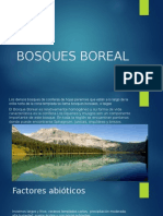 Bosques Boreal