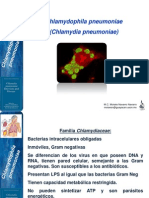 Chlamydophila pneumoniae: Ciclo de vida, infecciones y pruebas