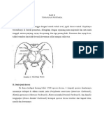 JENIS KECOA DAN BIOLOGI