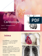 Cardiologie Curs 1 - Anatomia Inimii 