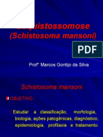 aula8-schistosomamansoni2007ok-090622183312-phpapp02.ppt