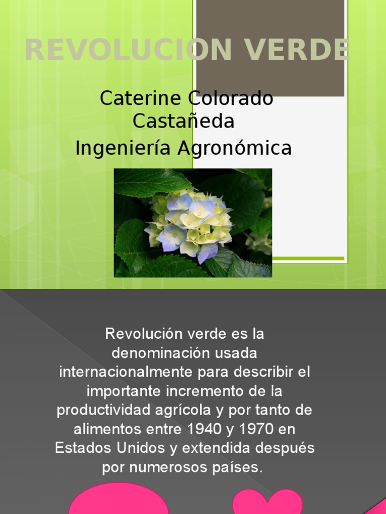 Presentaci n Revoluci n Verde Revoluci n Verde Agricultura Intensiva