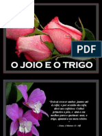 O JOIO E O TRIGO