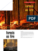 Forests On Fire