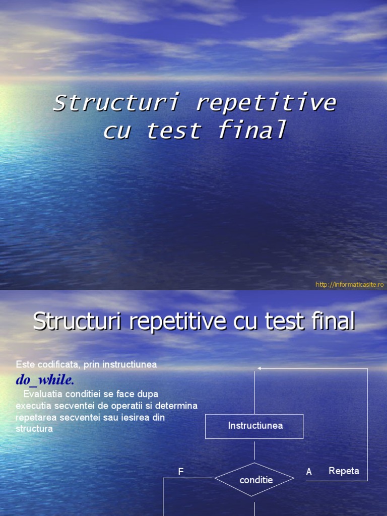 Structuri Repetitive cu Test Final | PDF | Technology & Engineering