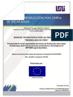 121130 Manual tecnológico Mermelada de Pina.pdf