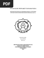 Download METODE PENGENDALIAN PENYEBAB PENYAKIT BUSUK BUAH PADA KAKAO by Ria Ayudya SN289126759 doc pdf