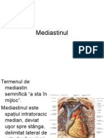 Mediastinul