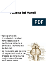 Puntea Lui Varoli