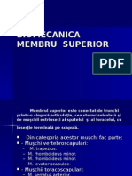 Biomecanica Membrului Superior