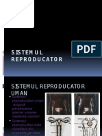 Sistemul Reproducator