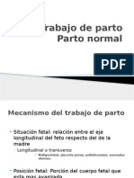 Seminario Trabajo de Parto