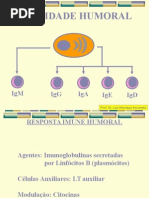 07_imunidade_humoral