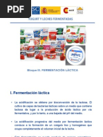 Bloque i - Leches Fermentadas