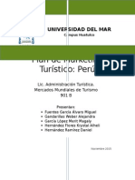 Plan de Marketing Peru Avances