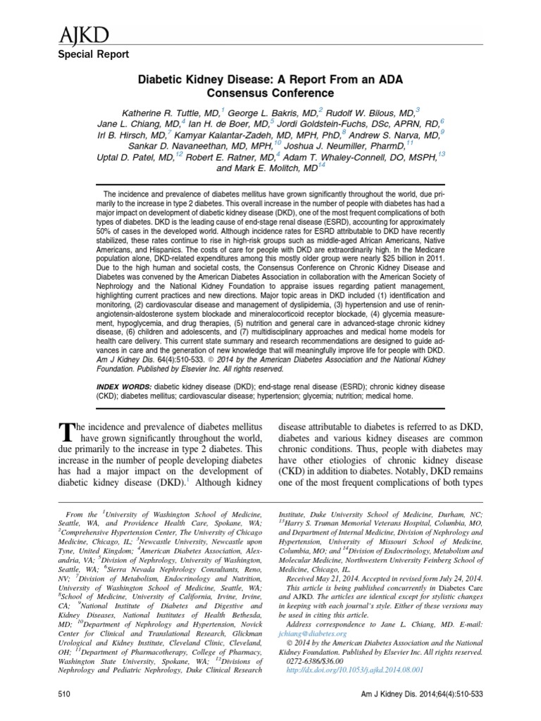 Diabetic Kidney Disease Insights and Care | PDF | Renal Function ...