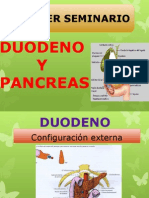 Duodeno y Pancreas