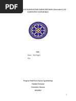 Download Uji Adaptasi Galur Harapan Padi Sawah by Mahendrayana Asking Alexandria SN289202071 doc pdf