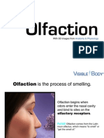 Olfaction: With 3D Images From