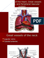 Lecture 2-Cardiovascular Assessment