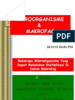 Mikroorganisme & Makrofag