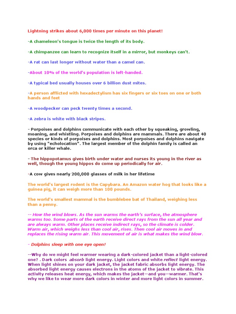 A Chameleon's Tongue Is Twice The Length of Its Body. A Chimpanzee