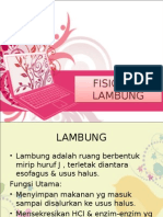 Lambung (Fisiologi)