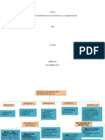 Conceptualización y Clasificación de Los Alimentos