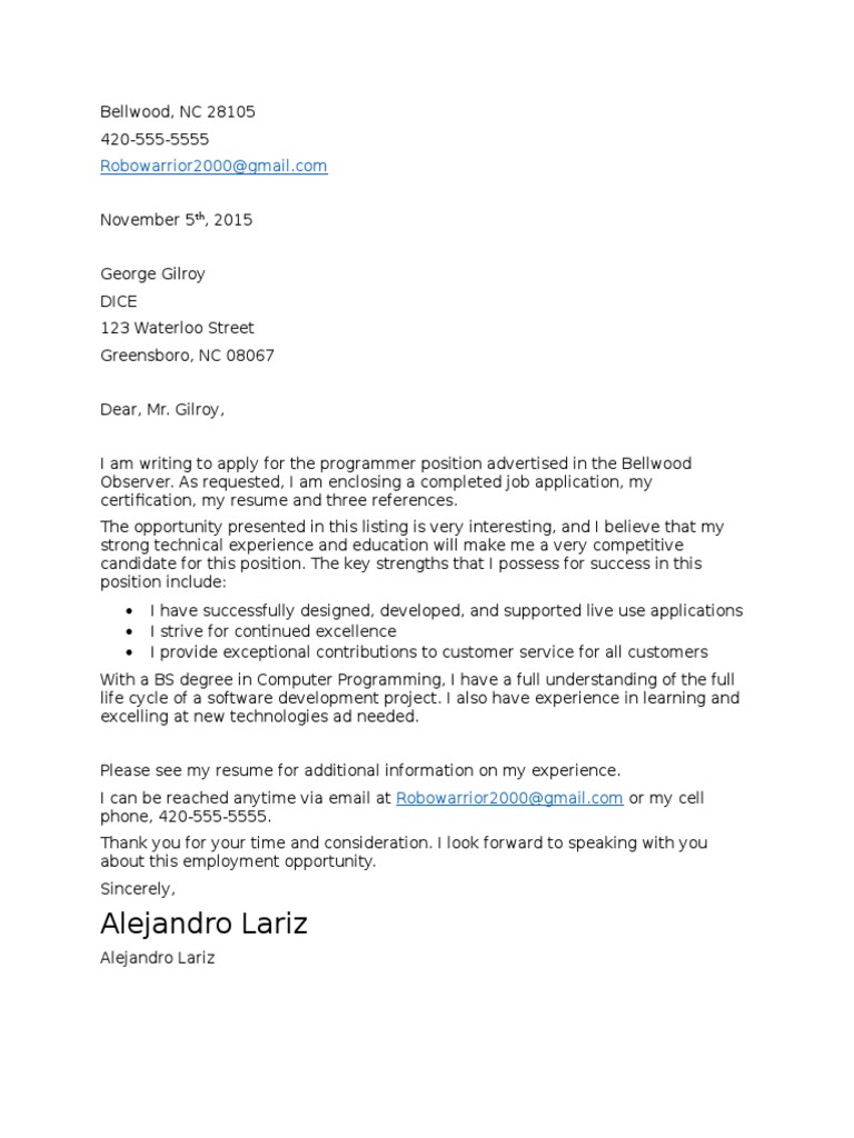 Programmer Job Application | PDF | Career & Growth