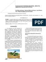 Cadeia Produtiva Do Açúcar: Processo Industrial, Impactos Ambientais e Dados Estatísticos