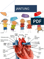 Fisiologi Jantung