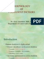 Morphology of Permanent Incisors