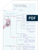 PARTES DE LOS ORGANOS