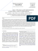 Influence of Eucalyptus Globulus Plantation Growth On Water Table Levels and Low Flows in A Small Catchment