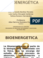 BIOENERGETICA.pptx