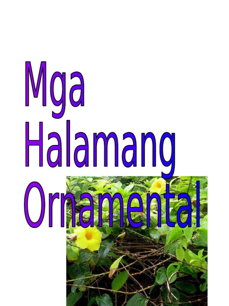 Halamang Ornamental