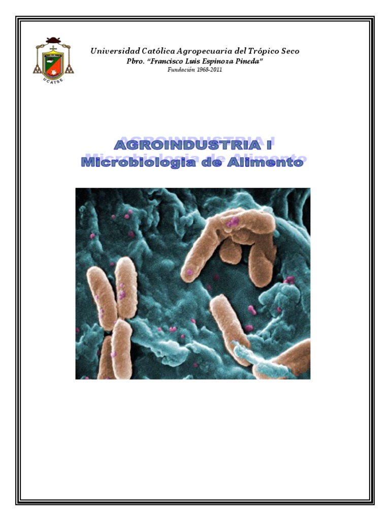 Microorganismos y su impacto en alimentos | PDF | Fermentación | Levadura
