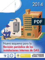 Revisiones Periodicas Gnv Glp