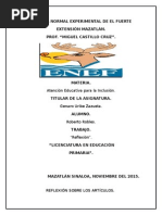 Reflexión de Artículos.